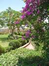 Swiss Inn Golden Beach 